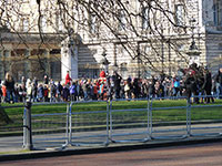 A carriage carrying an ambassador to see the Queen